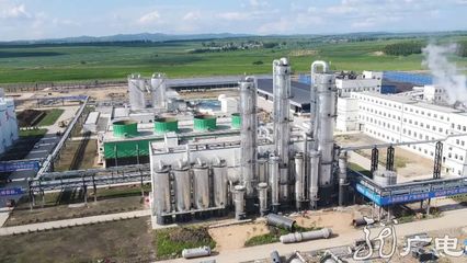 訂單里的黃金周 | 農產品深加工企業開足馬力趕訂單