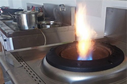 植物油燃料安全系數高嗎,植物油燃料灶具現成熟了嗎
