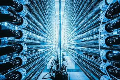 2021世界環(huán)境攝影師大賽結(jié)果揭曉 破屋中的孩子震撼奪冠